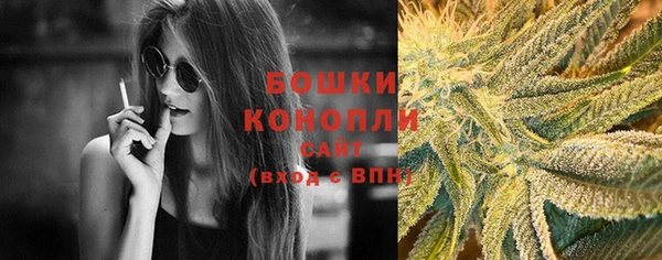 прущие грибы Абдулино