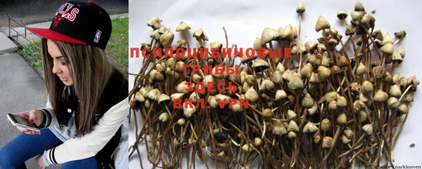 MDMA Premium VHQ Нягань